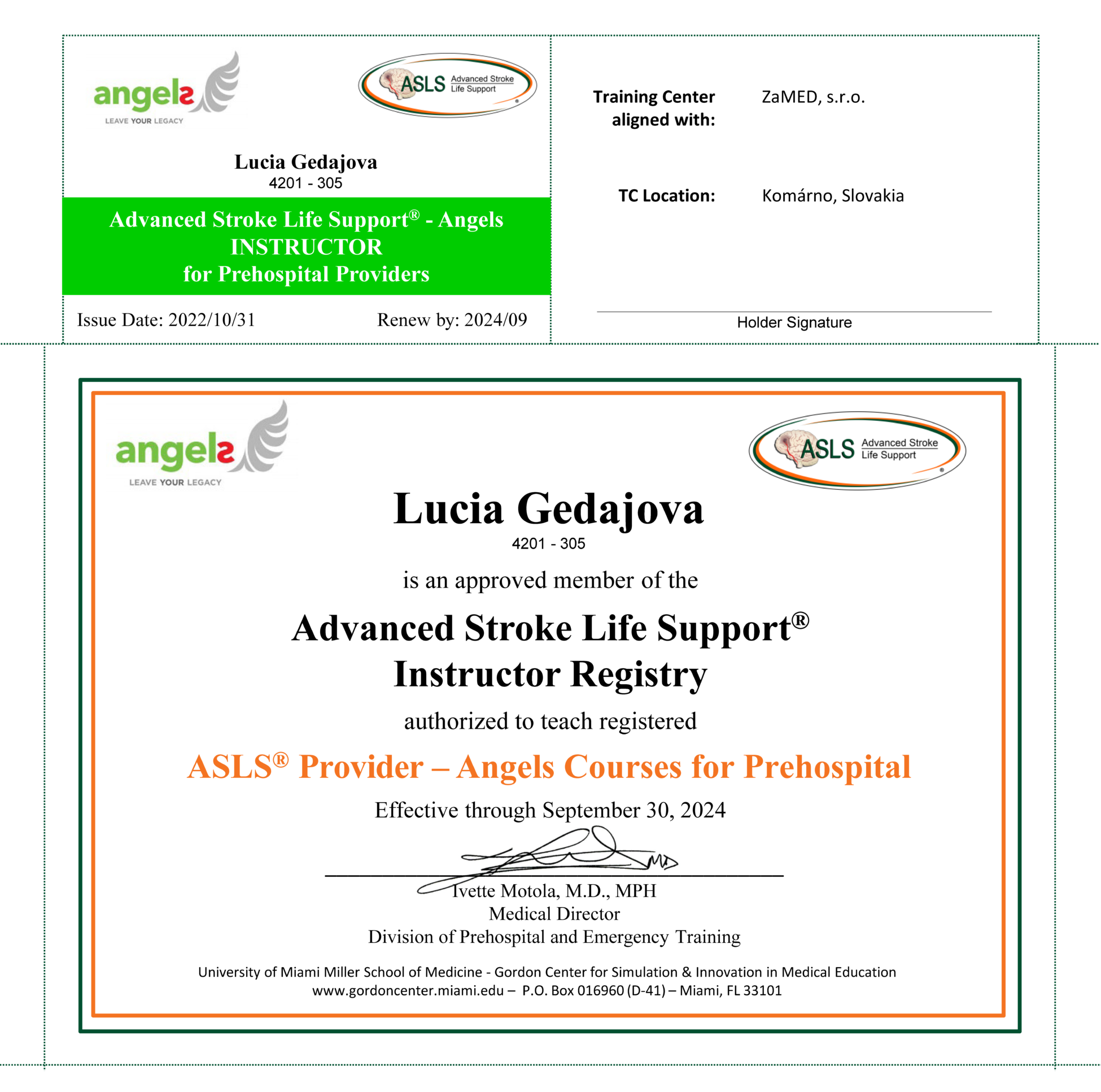 Lucia Gedajova.P.09 20