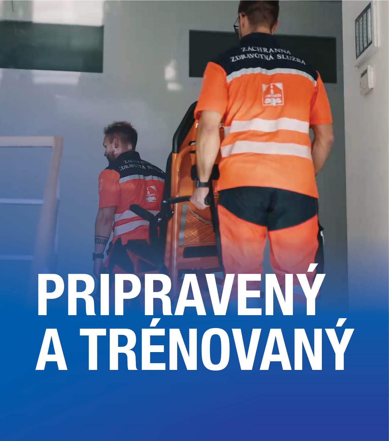 ZaMED infobannery web 303x3441 PAT